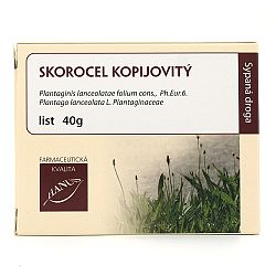 CAJ SKOROCEL KOPIJOVITY LIST 40G HAN 