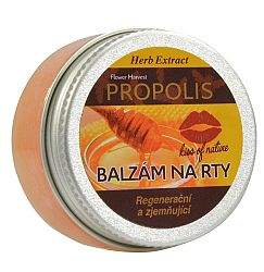 HERB EXTRACT Ochranný balzam na pery Propolis 25 ml