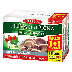 Terezia Company Hliva Ustricová + lactobacily kapsúl 60+60