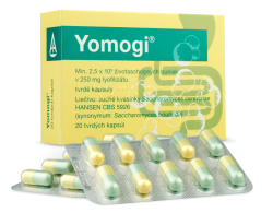 Yomogi cps.dur.20 x 250 mg