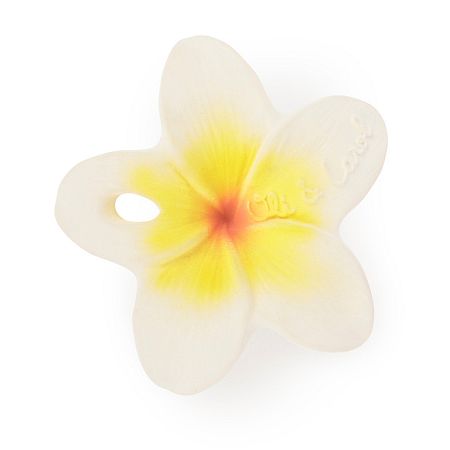 Oli&Carol mini kvet Hawaii the Flower 1×1 kus